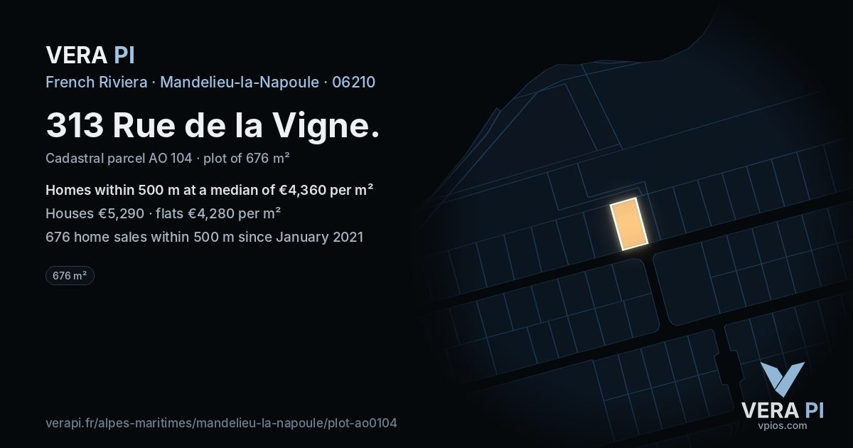 313 Rue de la Vigne, Mandelieu-la-Napoule at night – the plot lit, the parcels around coloured by the prices near them