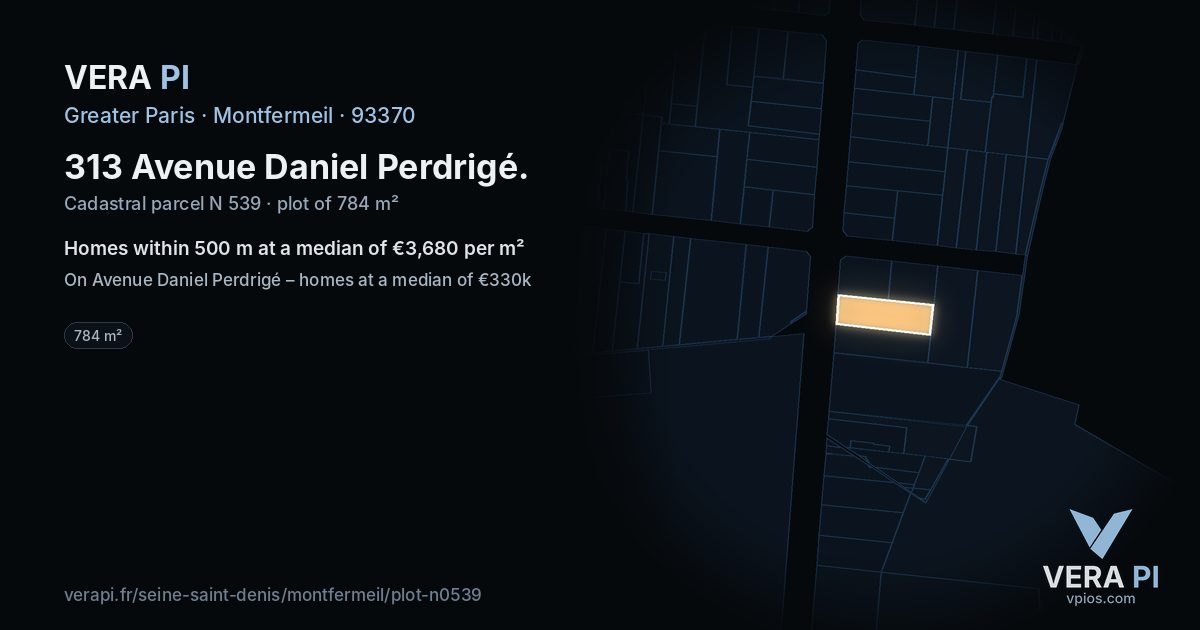 313 Avenue Daniel Perdrigé, Montfermeil at night – the plot lit, the parcels around coloured by the prices near them