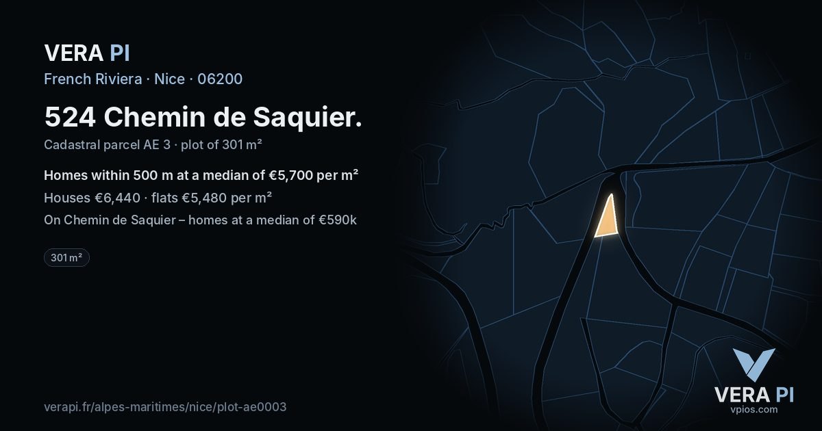 524 Chemin de Saquier, Nice at night – the plot lit, the parcels around coloured by the prices near them