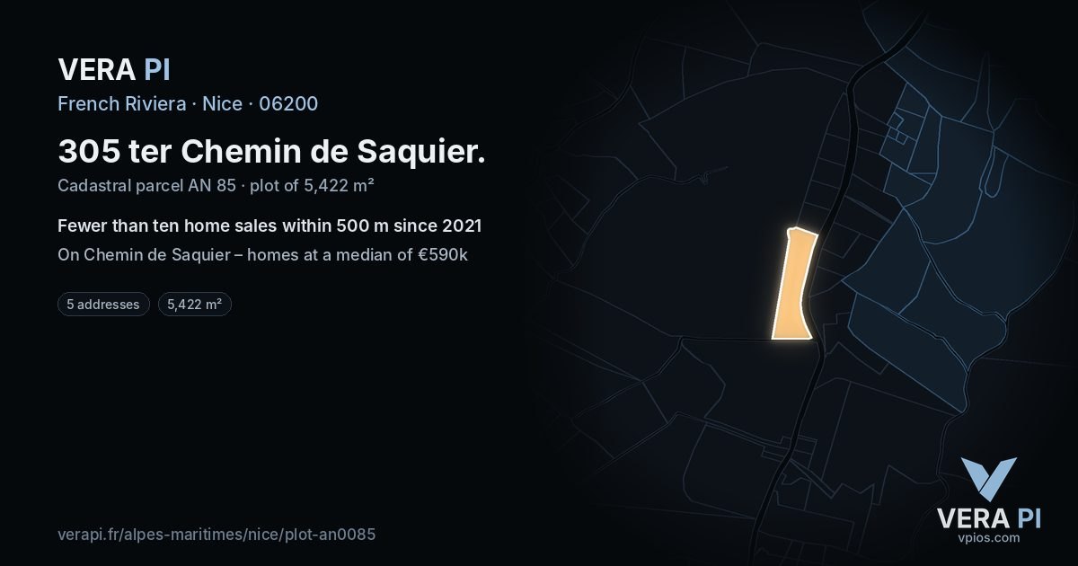 305 ter Chemin de Saquier, Nice at night – the plot lit, the parcels around coloured by the prices near them