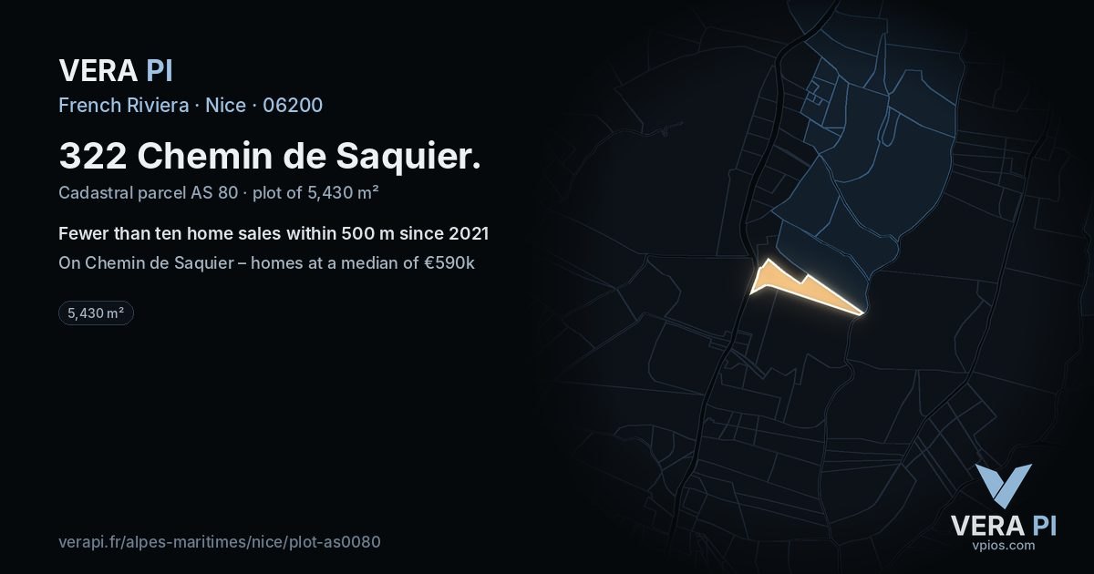 322 Chemin de Saquier, Nice at night – the plot lit, the parcels around coloured by the prices near them
