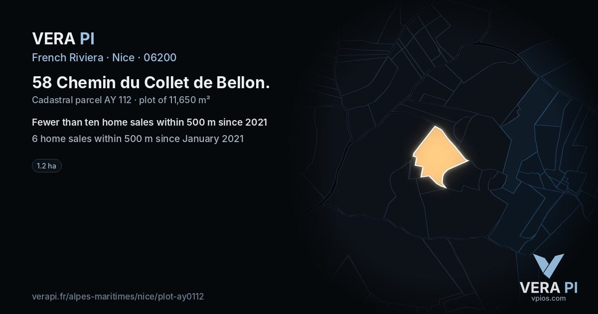 58 Chemin du Collet de Bellon, Nice at night – the plot lit, the parcels around coloured by the prices near them