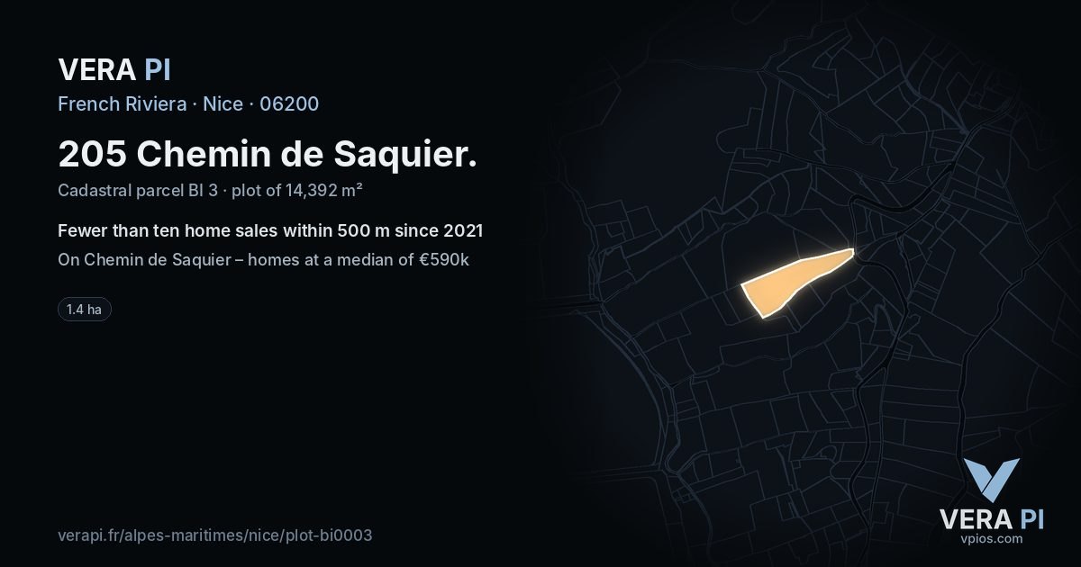 205 Chemin de Saquier, Nice at night – the plot lit, the parcels around coloured by the prices near them