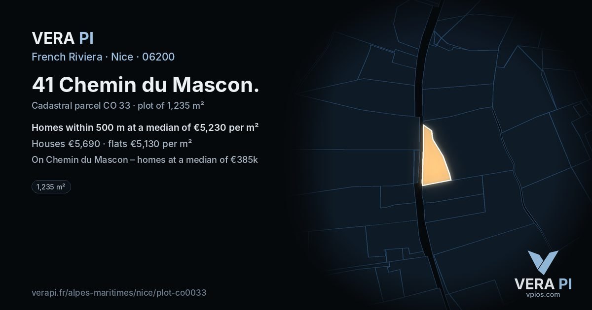 41 Chemin du Mascon, Nice at night – the plot lit, the parcels around coloured by the prices near them