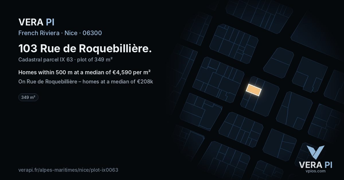 103 Rue de Roquebillière, Nice at night – the plot lit, the parcels around coloured by the prices near them
