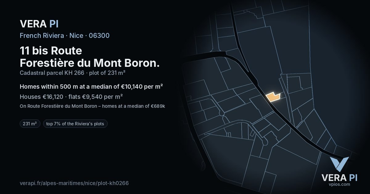 11 bis Route Forestière du Mont Boron, Nice at night – the plot lit, the parcels around coloured by the prices near them