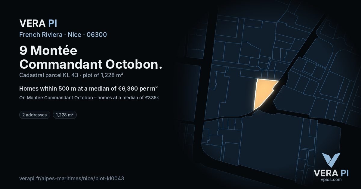 9 Montée Commandant Octobon, Nice at night – the plot lit, the parcels around coloured by the prices near them