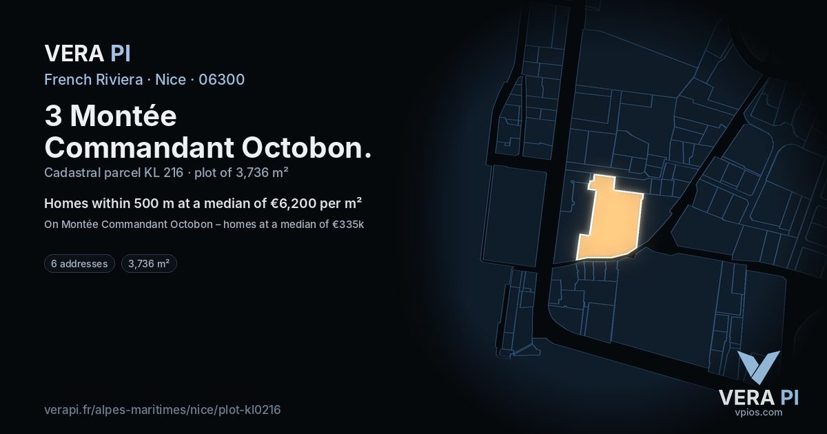3 Montée Commandant Octobon, Nice at night – the plot lit, the parcels around coloured by the prices near them