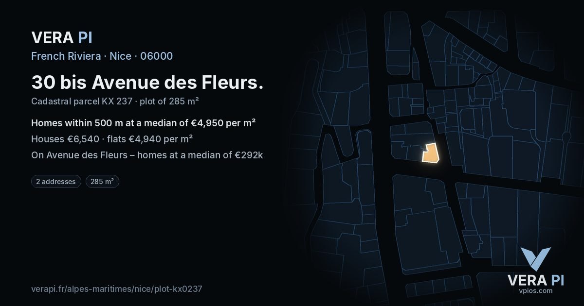 30 bis Avenue des Fleurs, Nice at night – the plot lit, the parcels around coloured by the prices near them