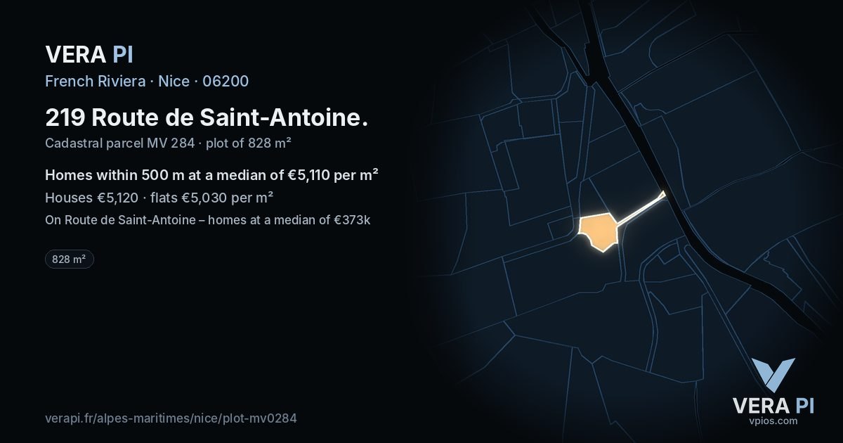 219 Route de Saint-Antoine, Nice at night – the plot lit, the parcels around coloured by the prices near them