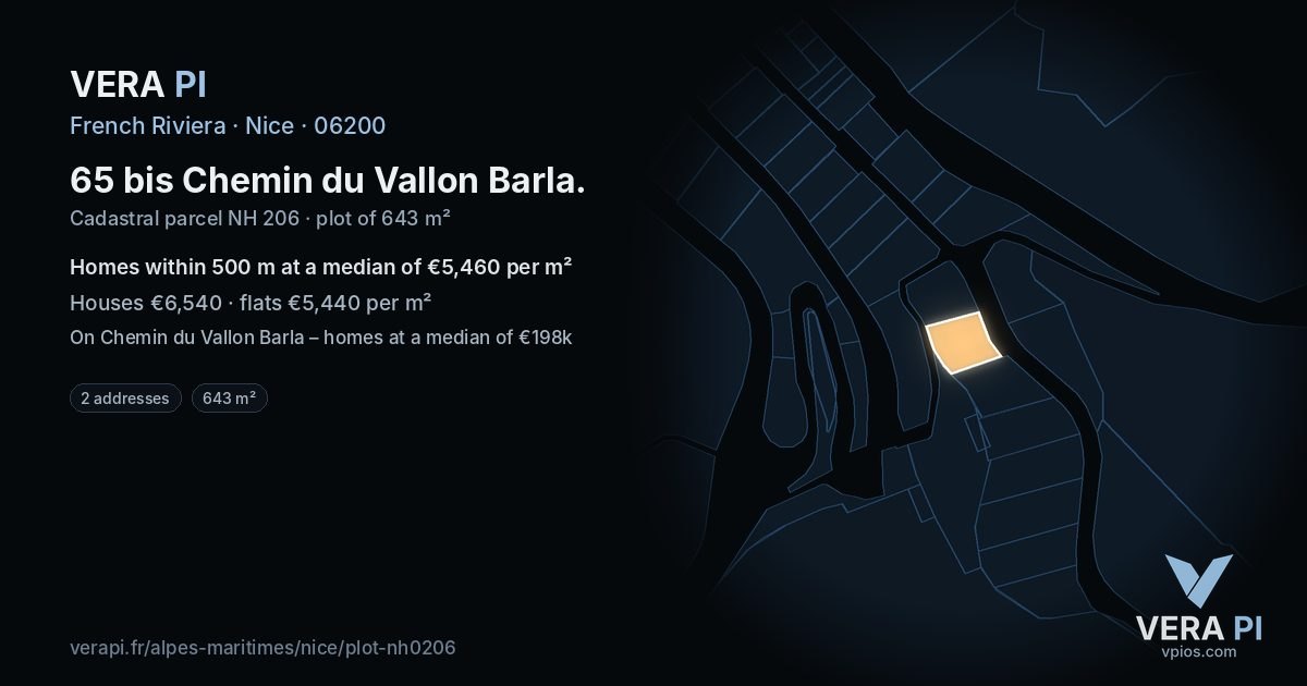 65 bis Chemin du Vallon Barla, Nice at night – the plot lit, the parcels around coloured by the prices near them
