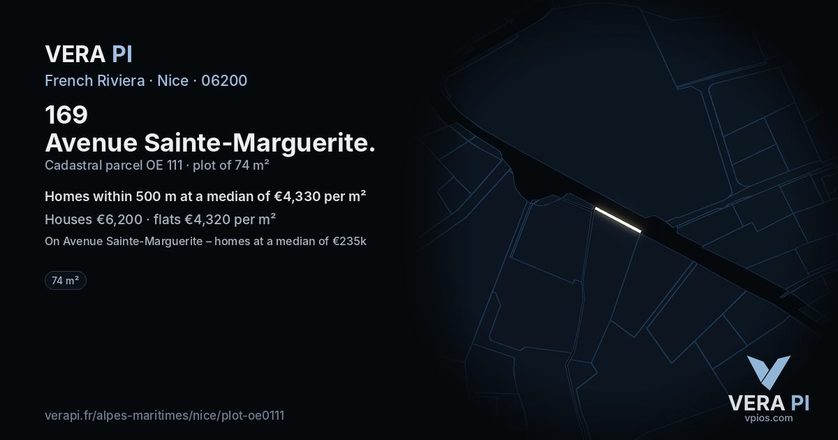 169 Avenue Sainte-Marguerite, Nice at night – the plot lit, the parcels around coloured by the prices near them