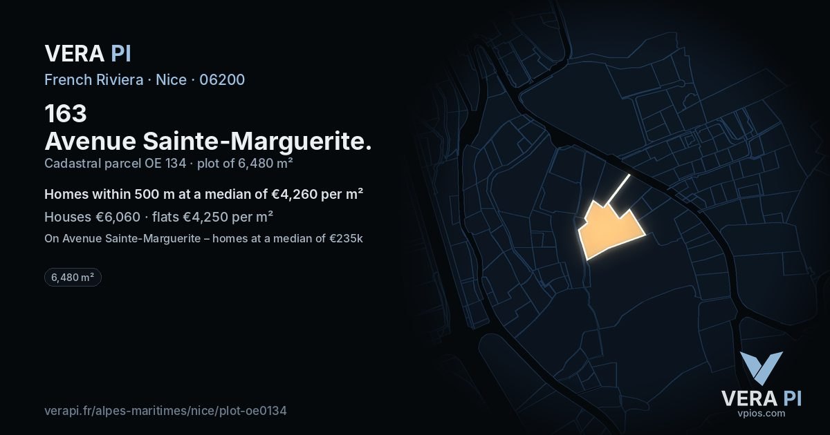 163 Avenue Sainte-Marguerite, Nice at night – the plot lit, the parcels around coloured by the prices near them