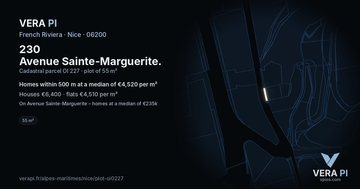 230 Avenue Sainte-Marguerite, Nice at night – the plot lit, the parcels around coloured by the prices near them