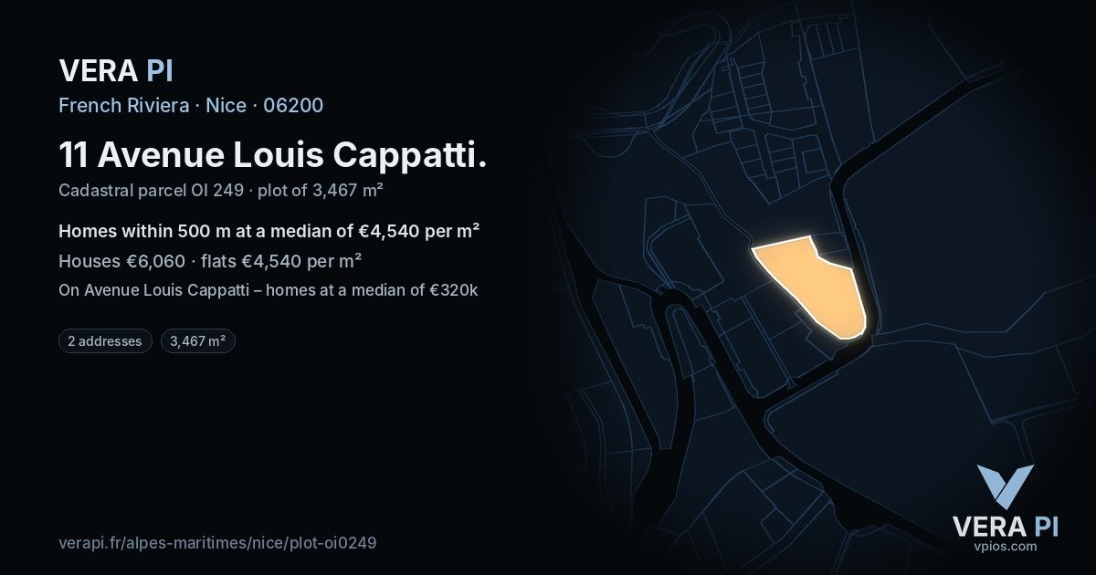 11 Avenue Louis Cappatti, Nice at night – the plot lit, the parcels around coloured by the prices near them