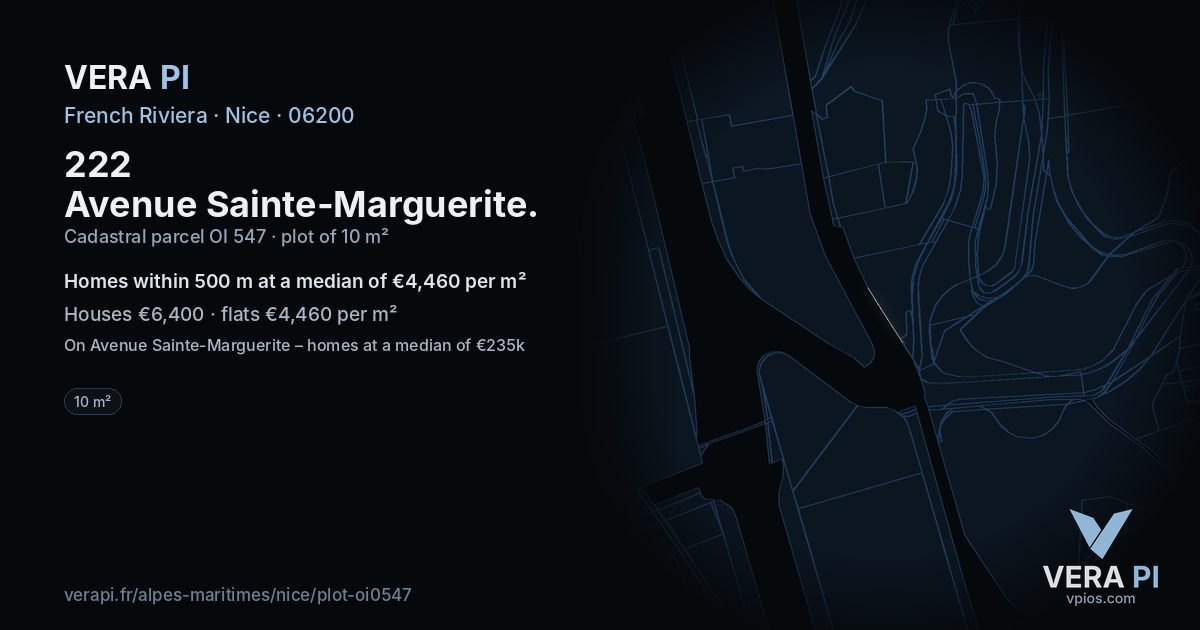 222 Avenue Sainte-Marguerite, Nice at night – the plot lit, the parcels around coloured by the prices near them