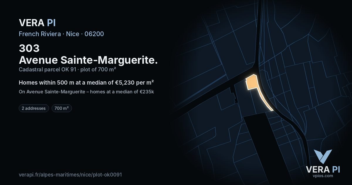 303 Avenue Sainte-Marguerite, Nice at night – the plot lit, the parcels around coloured by the prices near them