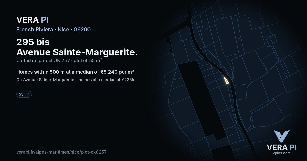 295 bis Avenue Sainte-Marguerite, Nice at night – the plot lit, the parcels around coloured by the prices near them