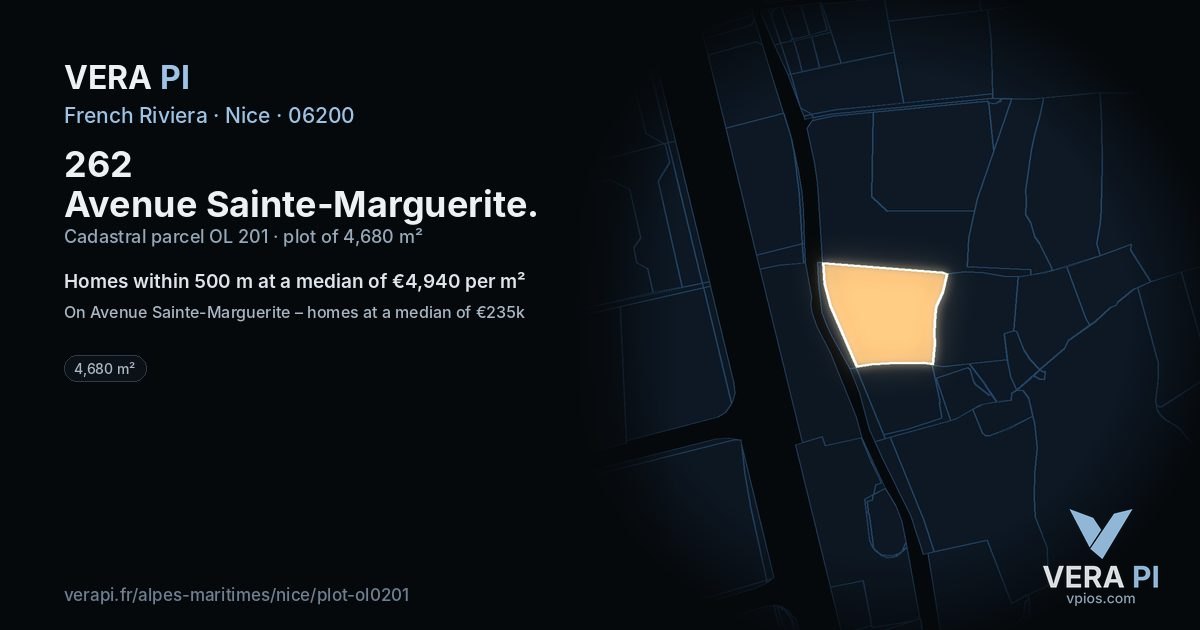 262 Avenue Sainte-Marguerite, Nice at night – the plot lit, the parcels around coloured by the prices near them