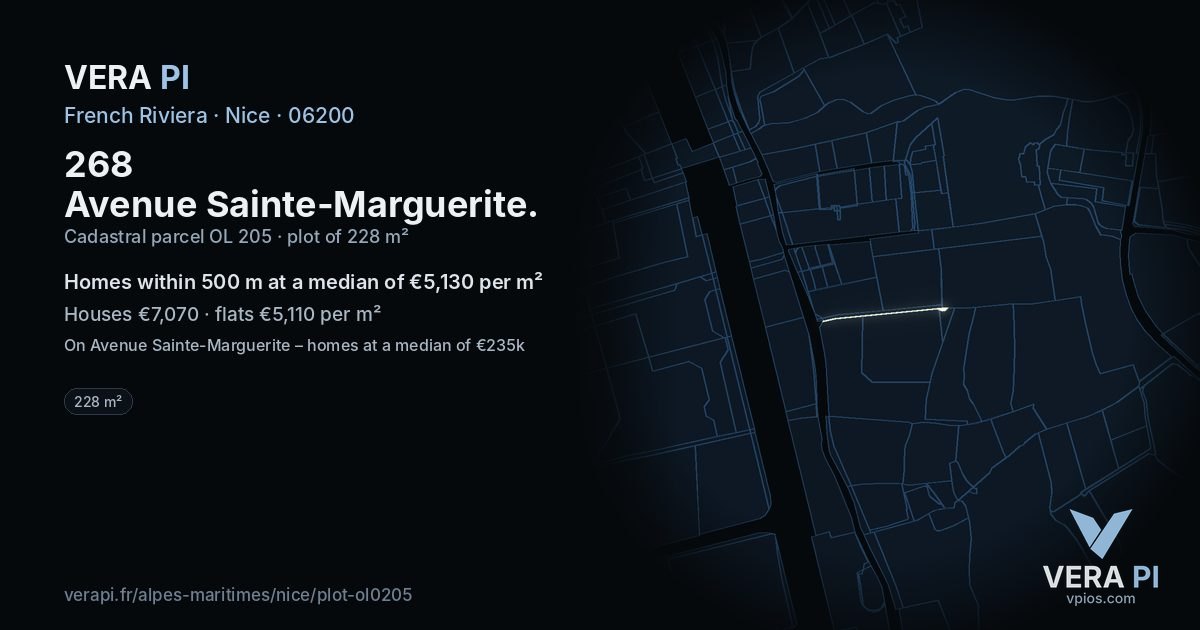 268 Avenue Sainte-Marguerite, Nice at night – the plot lit, the parcels around coloured by the prices near them