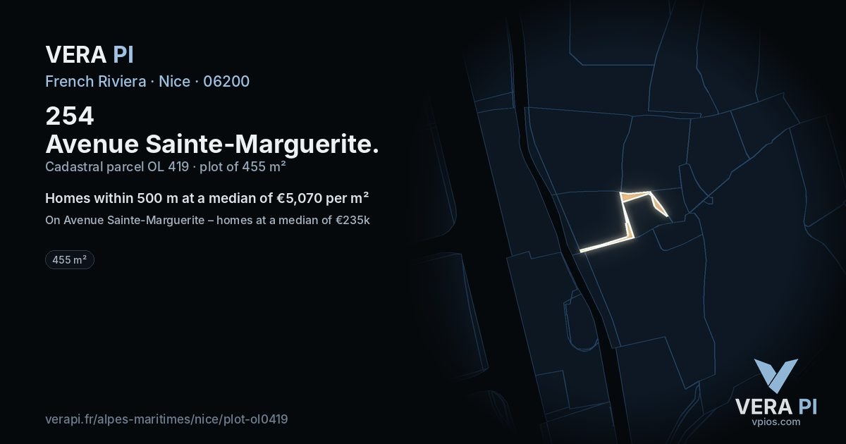 254 Avenue Sainte-Marguerite, Nice at night – the plot lit, the parcels around coloured by the prices near them