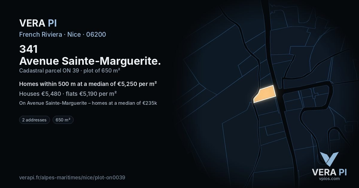 341 Avenue Sainte-Marguerite, Nice at night – the plot lit, the parcels around coloured by the prices near them