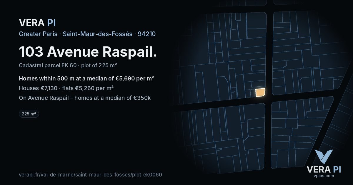 103 Avenue Raspail, Saint-Maur-des-Fossés at night – the plot lit, the parcels around coloured by the prices near them
