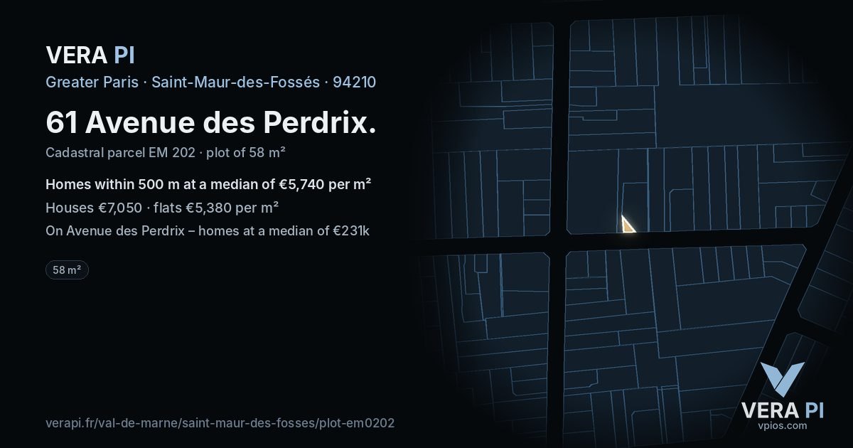 61 Avenue des Perdrix, Saint-Maur-des-Fossés at night – the plot lit, the parcels around coloured by the prices near them