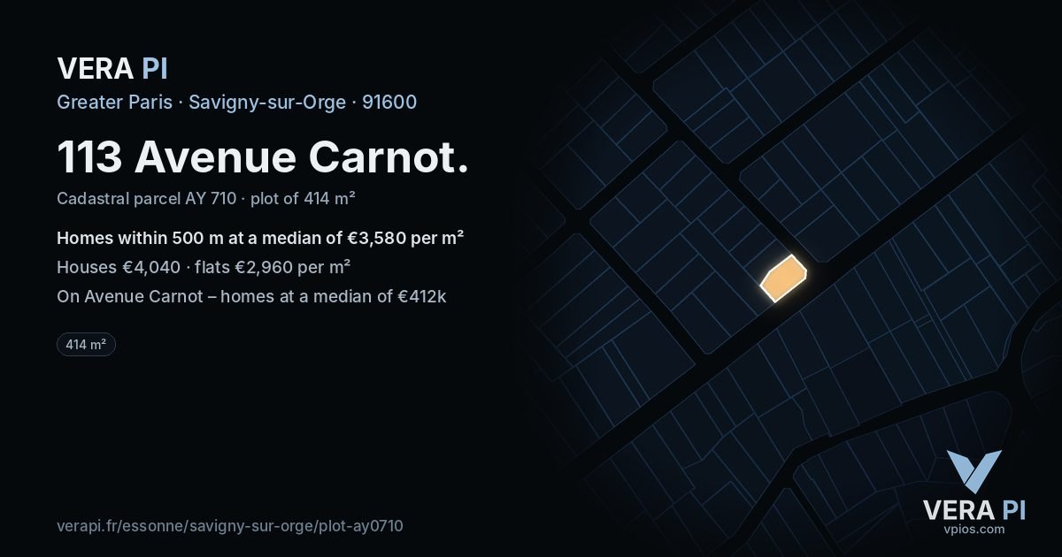 113 Avenue Carnot, Savigny-sur-Orge at night – the plot lit, the parcels around coloured by the prices near them