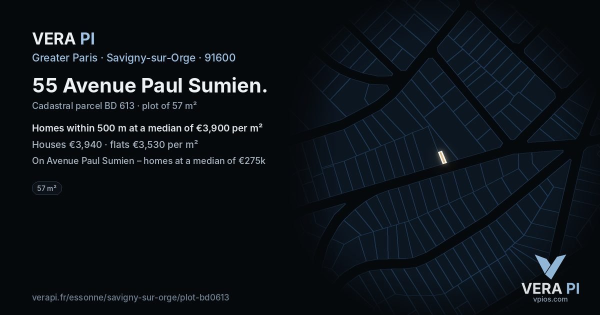 55 Avenue Paul Sumien, Savigny-sur-Orge at night – the plot lit, the parcels around coloured by the prices near them