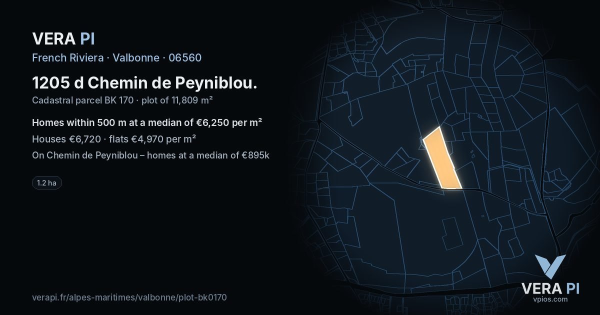 1205 d Chemin de Peyniblou, Valbonne at night – the plot lit, the parcels around coloured by the prices near them