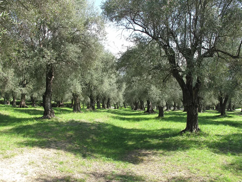Parc Départemental du Pian