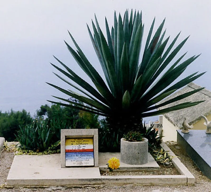 Le Corbusier's grave