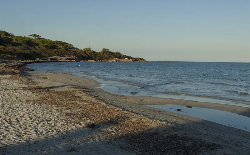 Plage des Salins